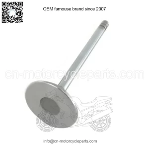 INTAKE VALVE 0.015 | 6081 JOHN DEERE | TR93312