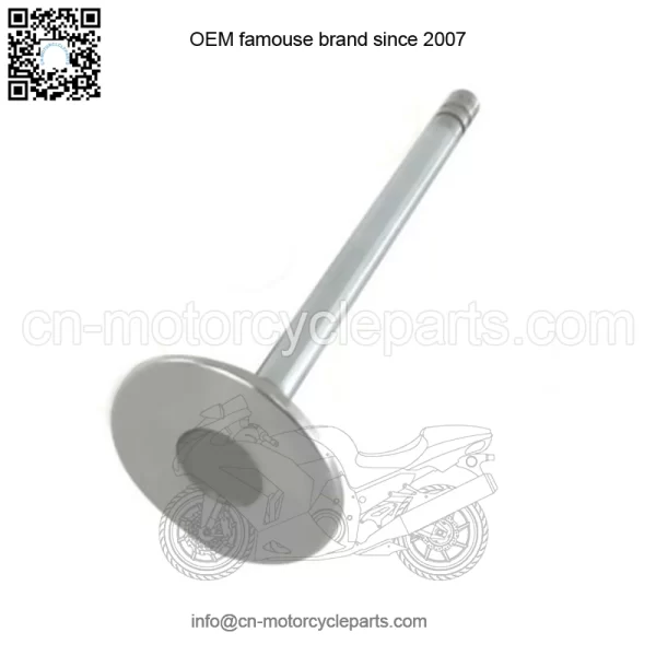 INTAKE VALVE 0.015 | 6081 JOHN DEERE | TR93312