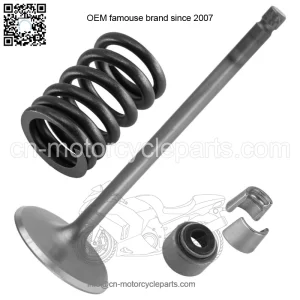 Intake Valve Kit for Yamaha Raptor 700 YFM700 2006 2007 2008 2009 2010 2011-2022 (For: Yamaha Raptor 700)