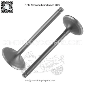 Intake & Exhaust Valve for Honda TRX420FE1 TRX420FM1 FourTrax Rancher 2014-2021 (For: Honda)