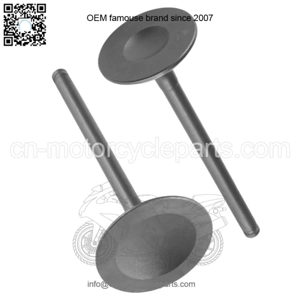 Intake & Exhaust Valve for Honda TRX420FE1 TRX420FM1 FourTrax Rancher 2014-2021 (For: Honda) - Image 4