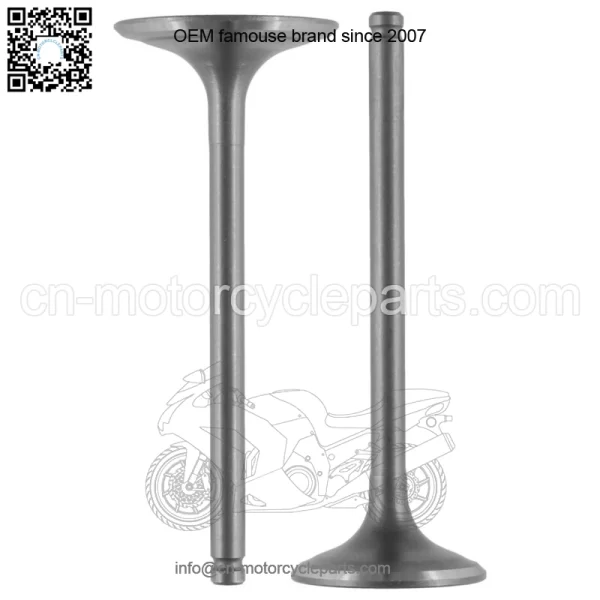 Intake & Exhaust Valve for Honda TRX420FE1 TRX420FM1 FourTrax Rancher 2014-2021 (For: Honda) - Image 5