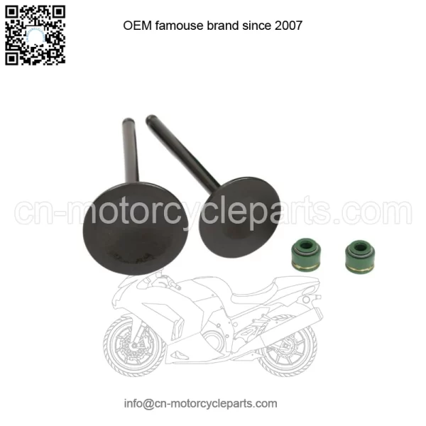 1988-2000 Honda TRx300 Fourtrax 300 Intake Exhaust Valves Seals (For: Honda) - Image 2