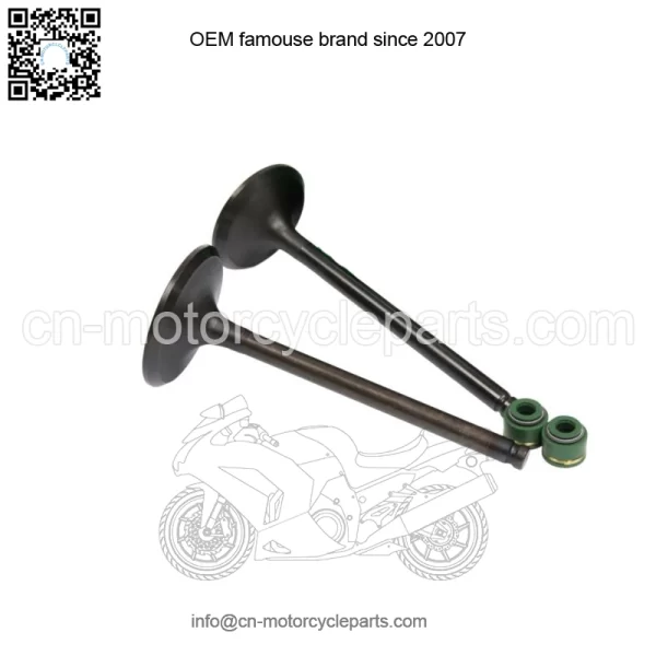 1988-2000 Honda TRx300 Fourtrax 300 Intake Exhaust Valves Seals (For: Honda) - Image 3
