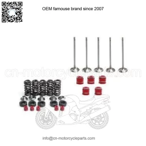 YFZ450 YFZ 450 Intake & Exhaust Valves Titanium Springs Kit Seals