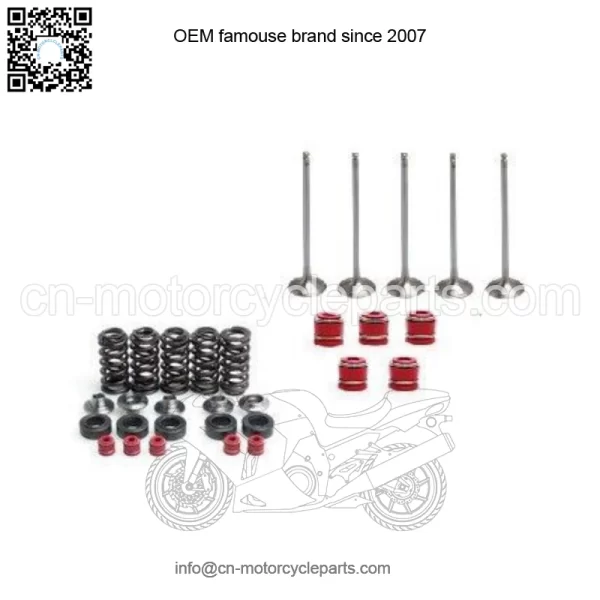 YFZ450 YFZ 450 Intake & Exhaust Valves Titanium Springs Kit Seals