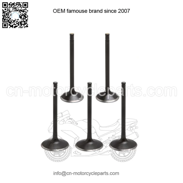 03-21 Yamaha YFZ450 WR450F YFZ450R YZ450F Aftermarket Replacement Steel Valves