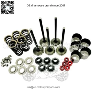 YFZ450R YFZ 450R Pro-X ProX Valves Valve Springs Spring Complete Head Redo Kit