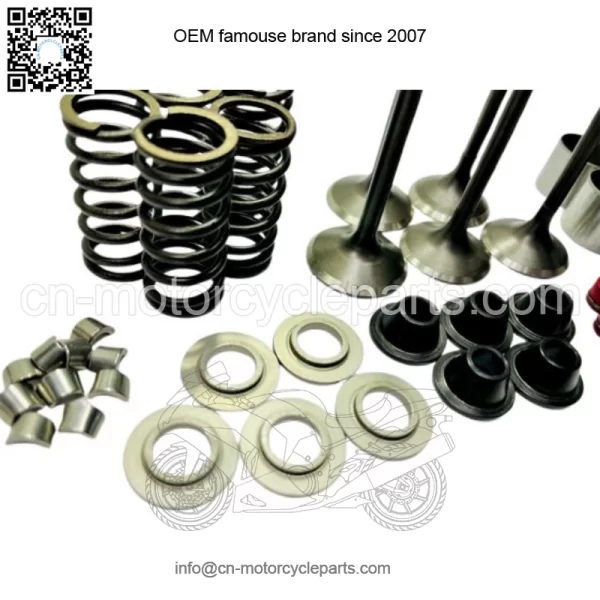 YFZ450R YFZ 450R Pro-X ProX Valves Valve Springs Spring Complete Head Redo Kit - Image 2