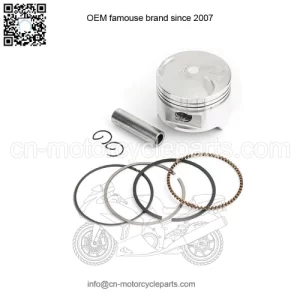 OEM Assembly Piston Ring D722 Std