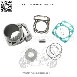Cylinder head rear Odes 1000 complete 21050401201-KIT
