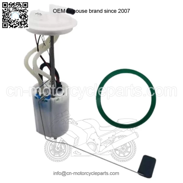 Fuel pump Segway Snarler AT6  A01M43000001