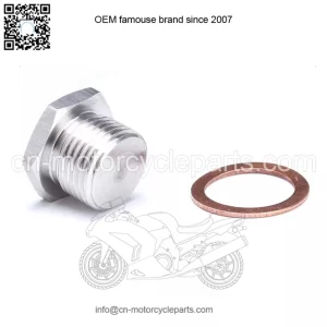 Oxygen sensor adapter plug