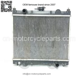Radiator 4x4 18 Club Car Carryall 1700 102410301