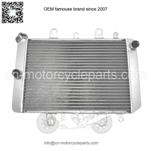 Radiator Yamaha Grizzly 550 700 Kodiak 700 2012-2020 B16-E2460-00-00