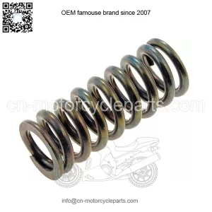 94-04 Door Hinge Spring