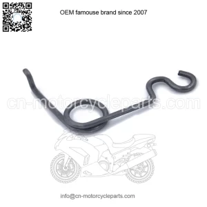 2009-2014 F150 Fuel Tank Hinge Spring