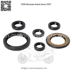 Engine Oil Seal Kit ?C Fits: Yamaha RAPTOR 700 700R 2006?C2022 YFM