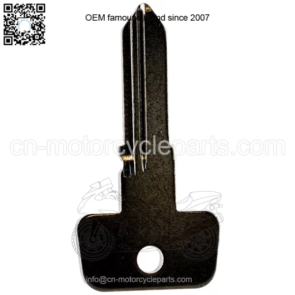 Polaris 4080125 KEY BLANK-KEYSWITCH