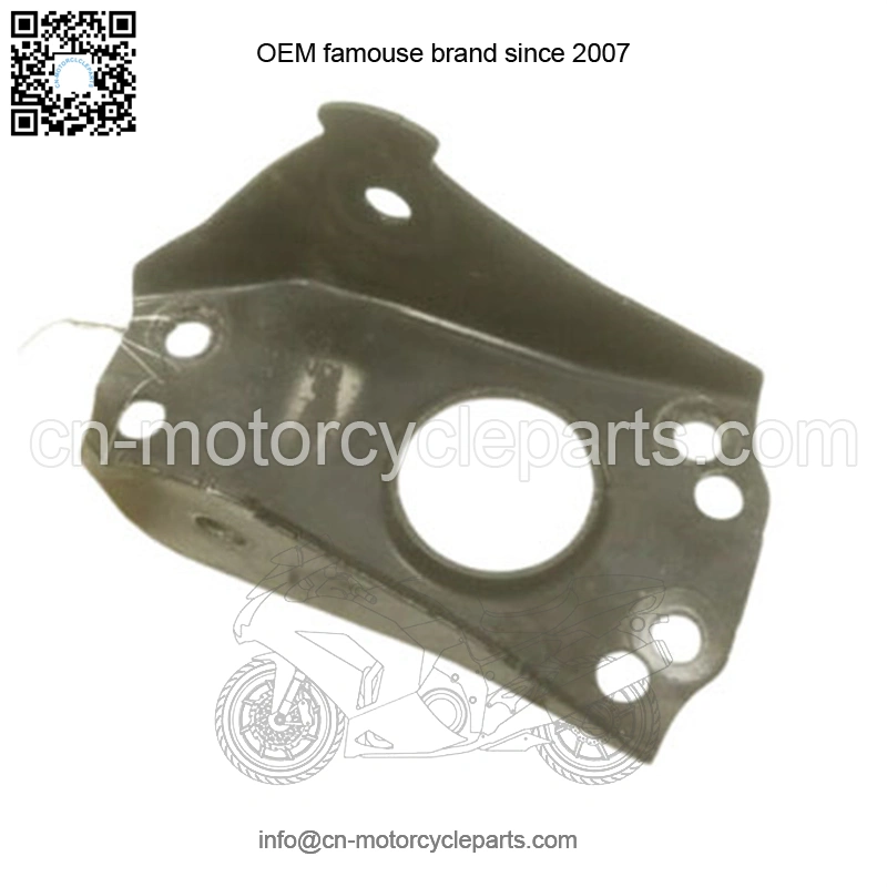 Polaris Sportsman 400 450 500 570 800 Rear Control Arm Bracket 5254267-329 (For: More than one vehicle)
